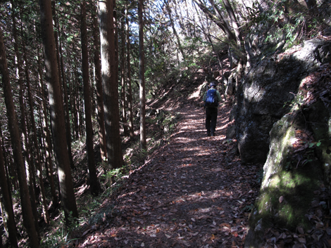 20151127hike (217)